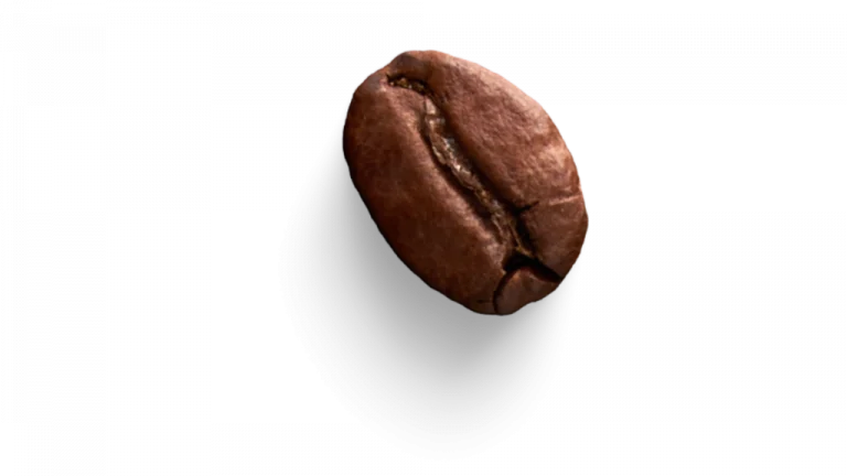 Grano de café de especialidad en Santiago de Compostela BO&GO