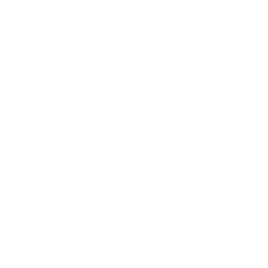 LOGO BO&GO Palma
