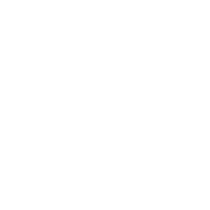 LOGO BO&GO Palma
