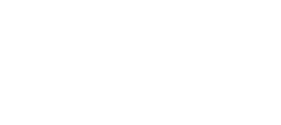 Logo PNG Bo&Go white